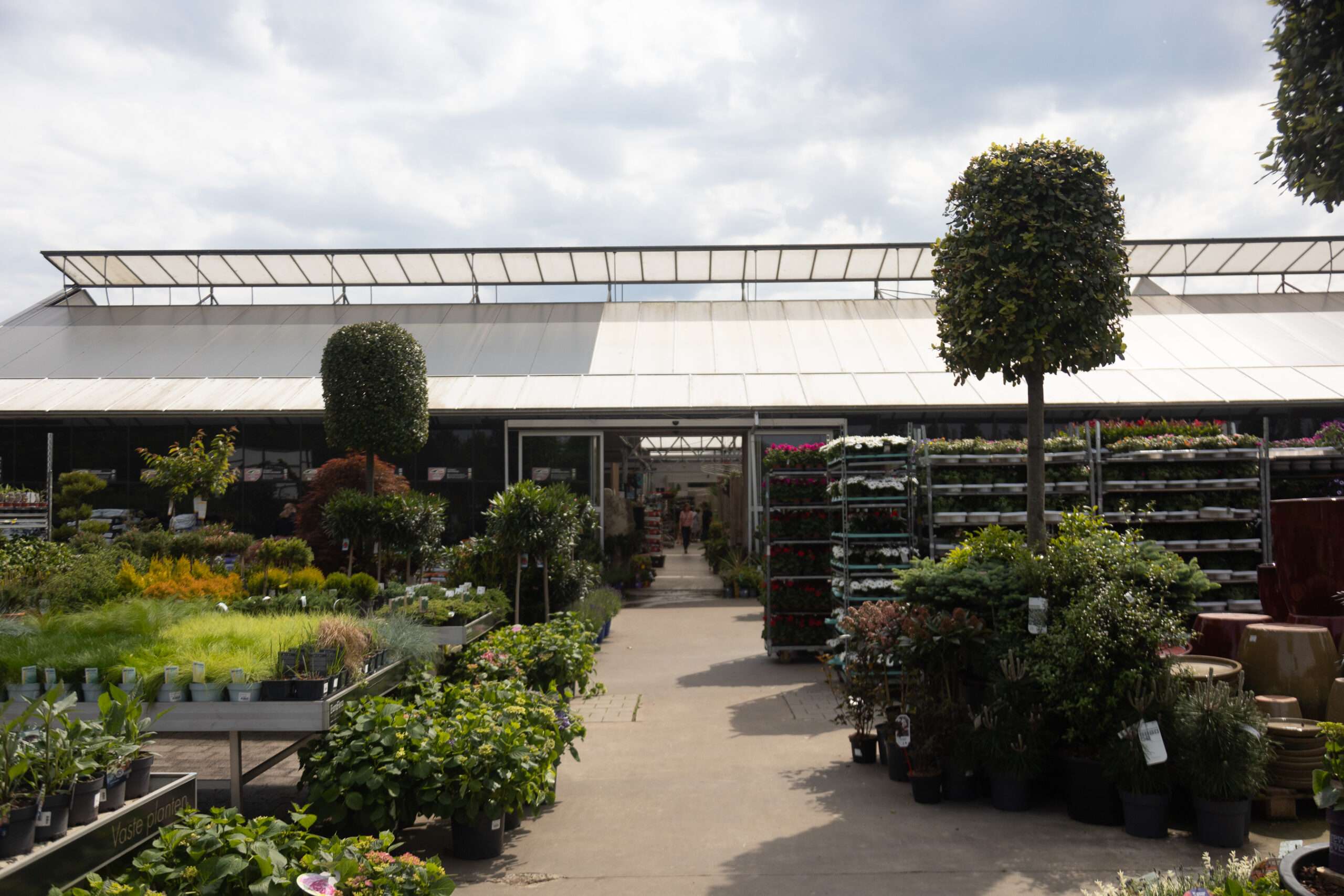 Achterkant winkel Euroflora te Sint-Niklaas